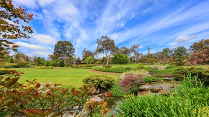 Japanese Garden - Cowra 